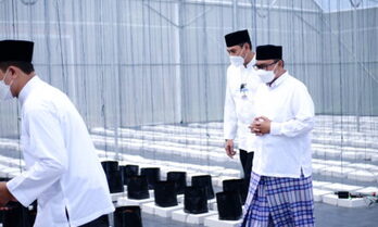 Darul Qurán Wal Irsyad Ikuti Program Smart Farming Berbasis Green House